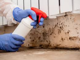 Best Mold Remediation for Healthcare Facilities  in USA